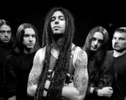Shadows Fall